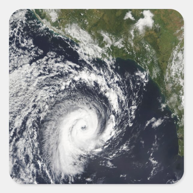 A tropical cyclone square sticker (Front)