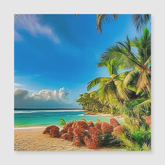 A tropical paradise. (Front)