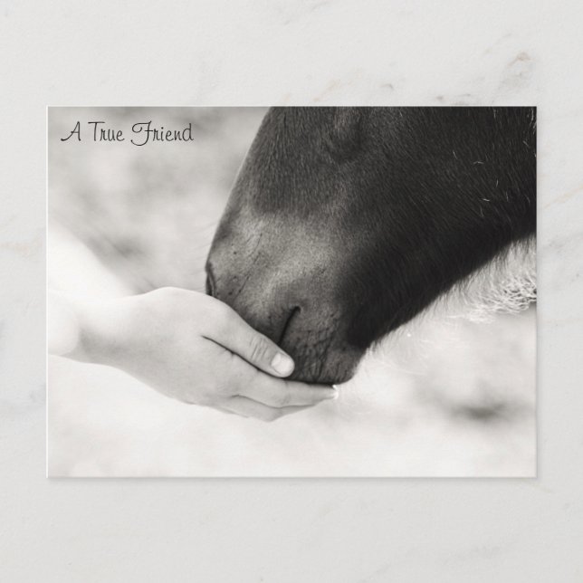 A True Friend Postcard (Front)