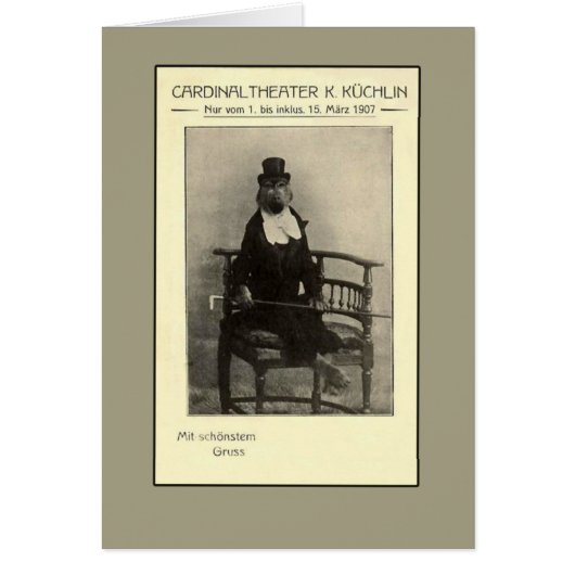 A True Oddity - A Monkey in a Suit Cards (Front)