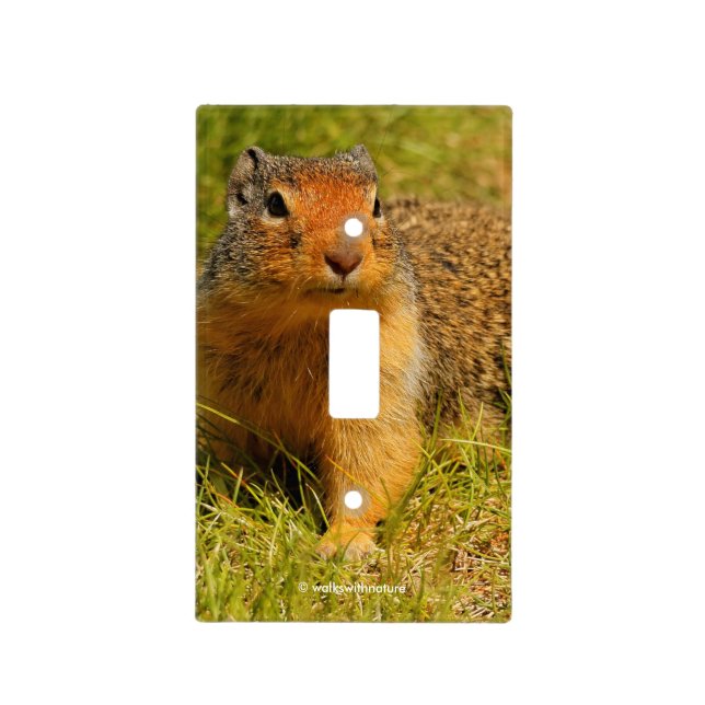 A Twitchy-Nosed Columbian Ground Squirrel Light Switch Cover (Front)