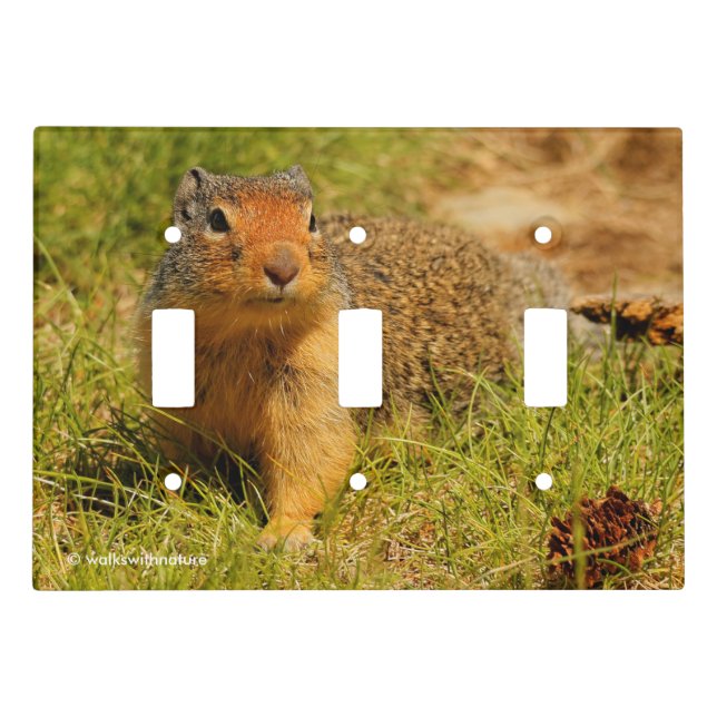 A Twitchy-Nosed Columbian Ground Squirrel Light Switch Cover (Front)