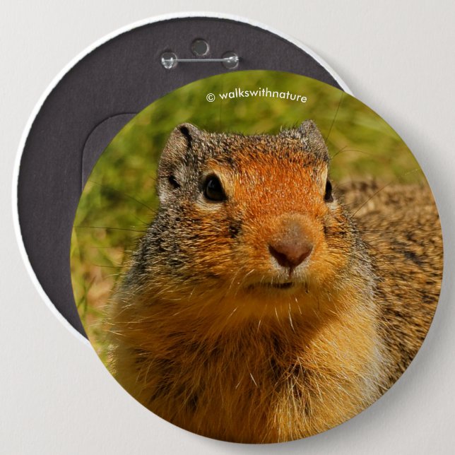 A Twitchy-Nosed Columbian Ground Squirrel Pinback Button (Front & Back)