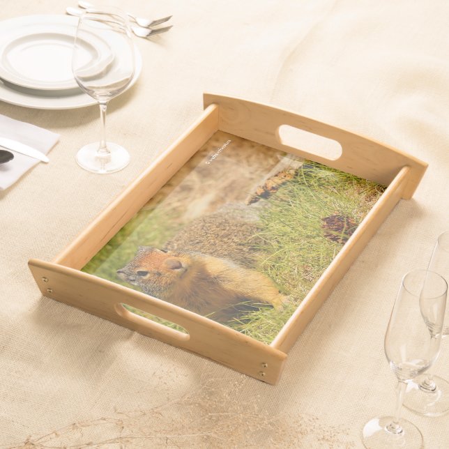 A Twitchy-Nosed Columbian Ground Squirrel Serving Tray (Front)