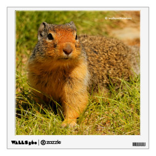 A Twitchy-Nosed Columbian Ground Squirrel Wall Sticker