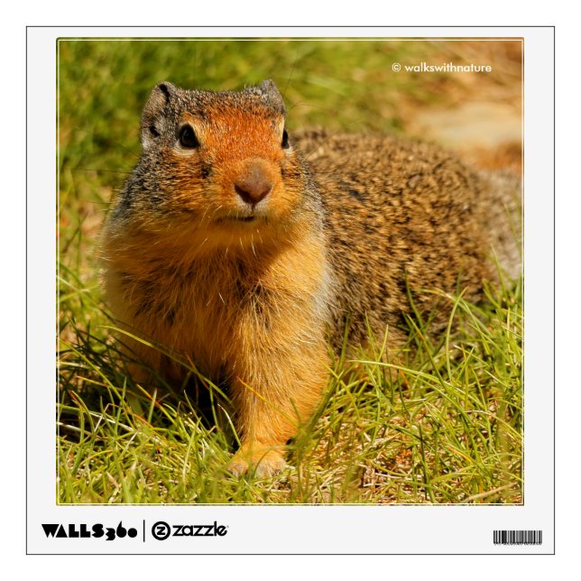 A Twitchy-Nosed Columbian Ground Squirrel Wall Sticker (Front)