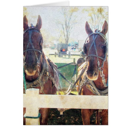 A Two Horse Team Cards (Front)
