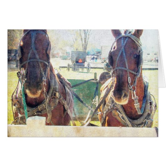 A Two Horse Team Cards (Front Horizontal)