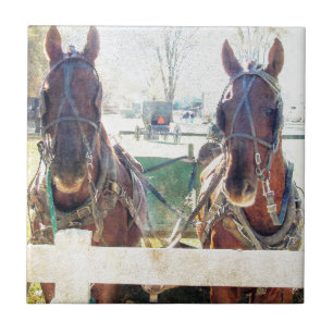 A Two Horse Team Tile