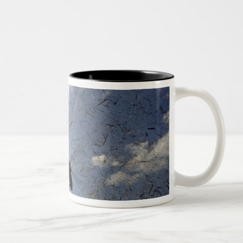 A US Navy HH_60 Seahawk Two_Tone Coffee Mug