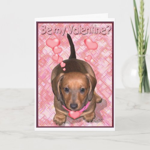 A Valentine Doxie Puppy Holiday Card