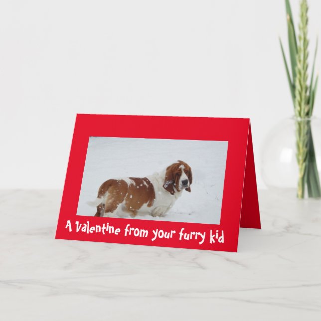 A Valentine from the dog with a Basset Hound Holiday Card (Front)