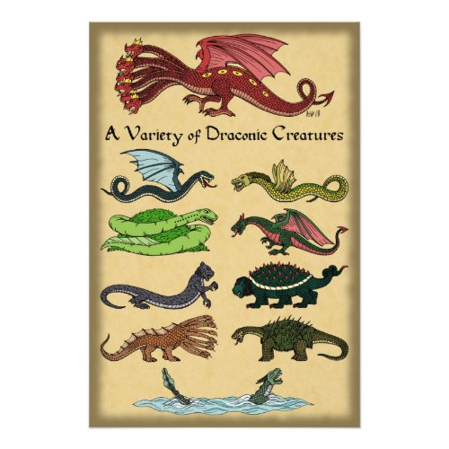 A Variety of Draconic Creatures Photo Print