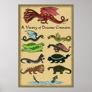 A Variety of Draconic Creatures Poster