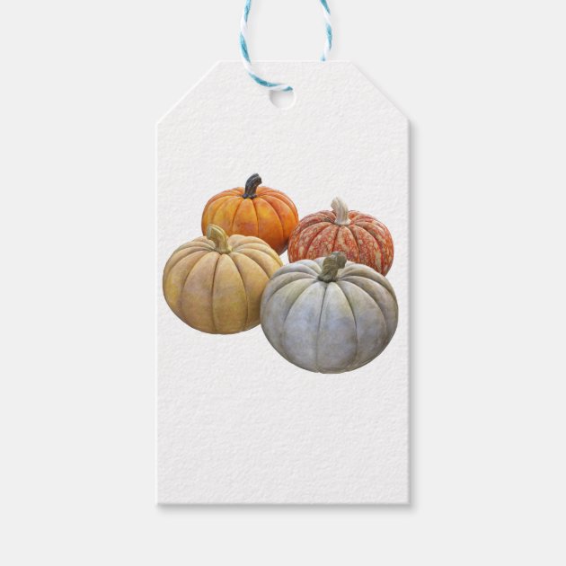 A Variety Of Pumpkins Gift Tags