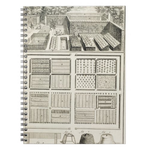 A vegetable garden from The Encyclopedia of Scie Notebook