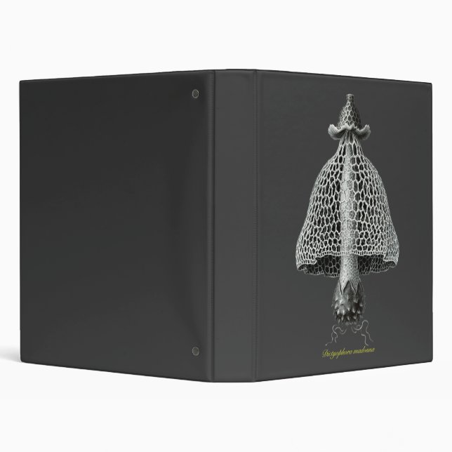 A veiled stinkhorn binder (Background)