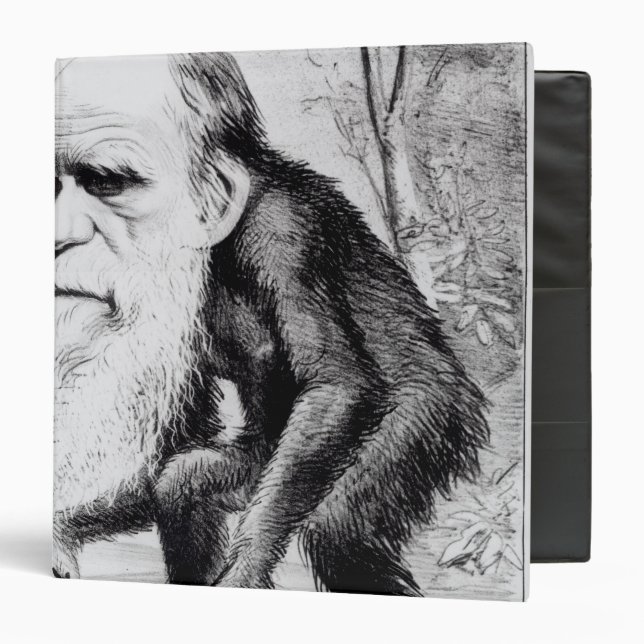 A Venerable Orang Outang, from 'The Hornet' Binder (Front/Inside)
