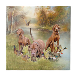 A versatile aristocrat in the Hungarian Vizsla Ceramic Tile