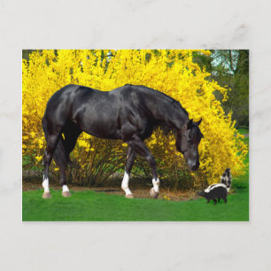 'A Very Bad Idea' Postcard