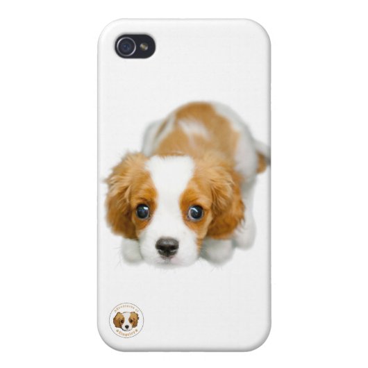 A Very Cavalier White iphone 4/4s Case (Back)