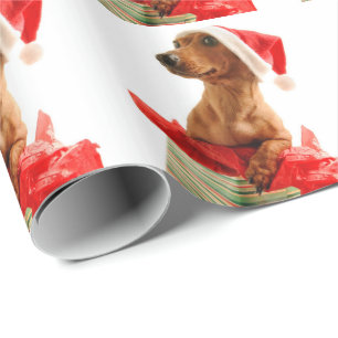 A very Doxie Christmas Wrapping Paper