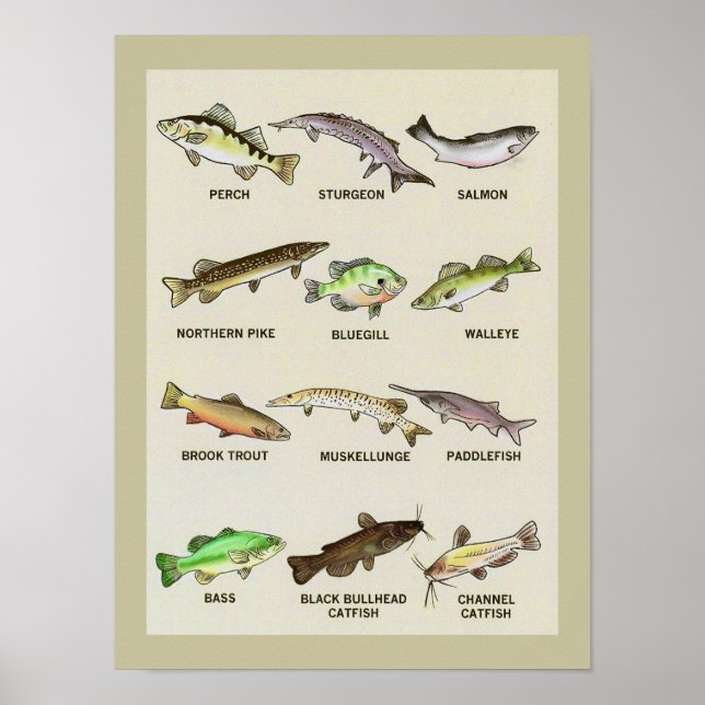 A Very Fishy Print (Front)