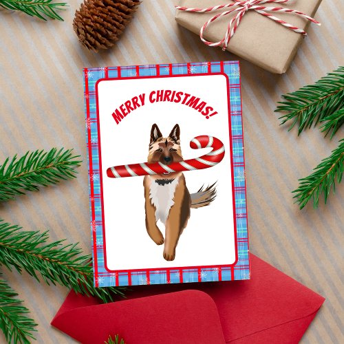 A Very German Shepherd Candy Cane Christmas Card