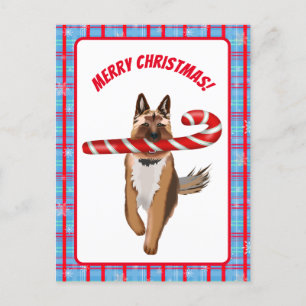 A Very German Shepherd Candy Cane Christmas Postcard