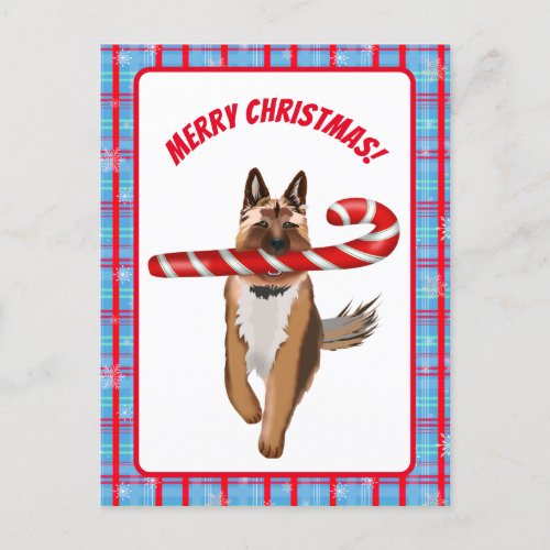 A Very German Shepherd Candy Cane Christmas Postcard