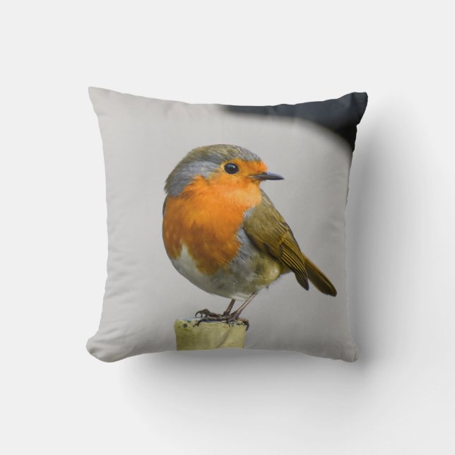 A Very Stunning Robin  Throw Pillow (Front)