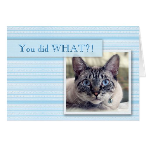 A Very Surprised Cat Congratulations Note Card