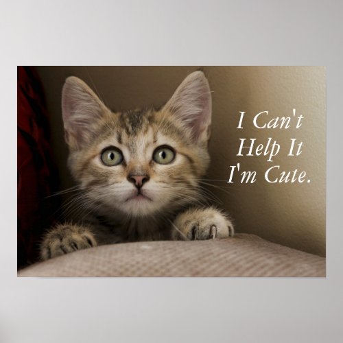 A Very Sweet Tabby Kitten Poster