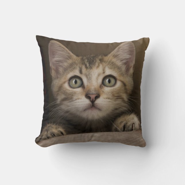 A Very Sweet Tabby Kitten Throw Pillow (Front)