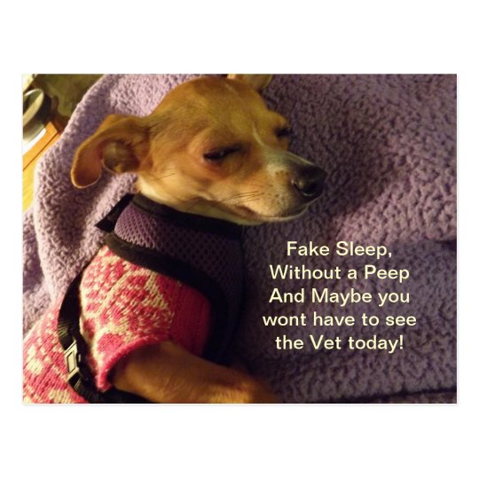 A Veterinarians reminder card