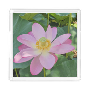 A vibrant lotus flower acrylic tray