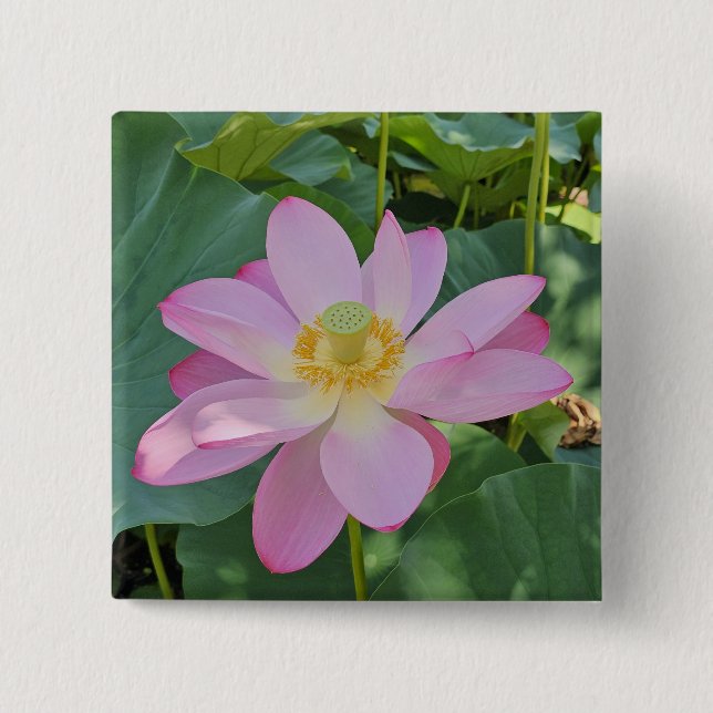 A vibrant lotus flower button (Front)