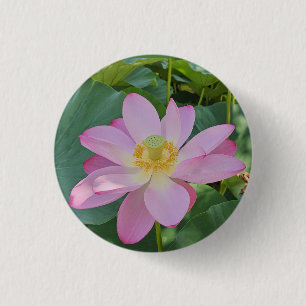 A vibrant lotus flower button