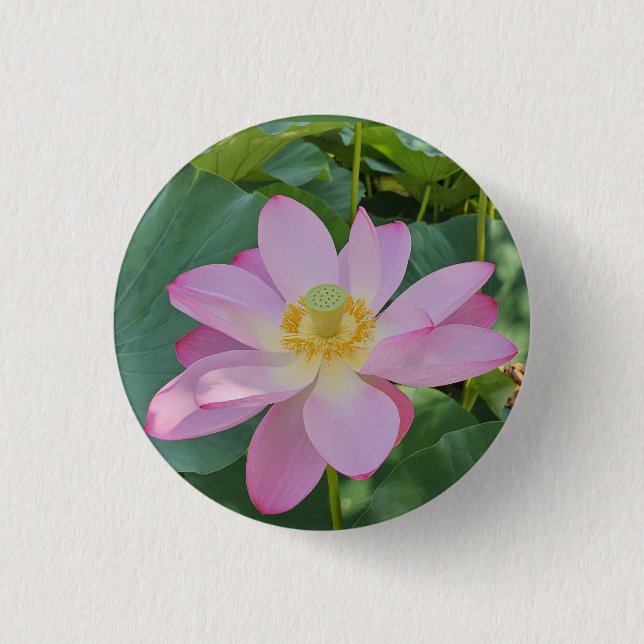 A vibrant lotus flower button (Front)