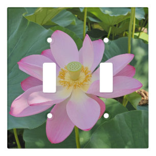 A vibrant lotus flower light switch cover