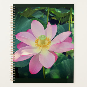 A vibrant lotus flower planner