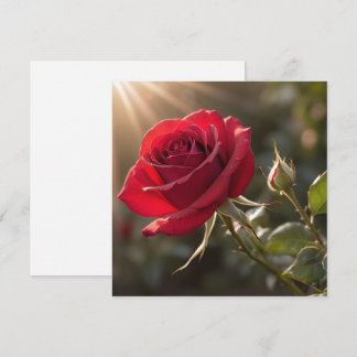 A vibrant red rose, symbolizing love and passion invitation