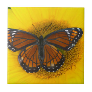 A Viceroy Butterfly   Limenitis Archippus Ceramic Tile
