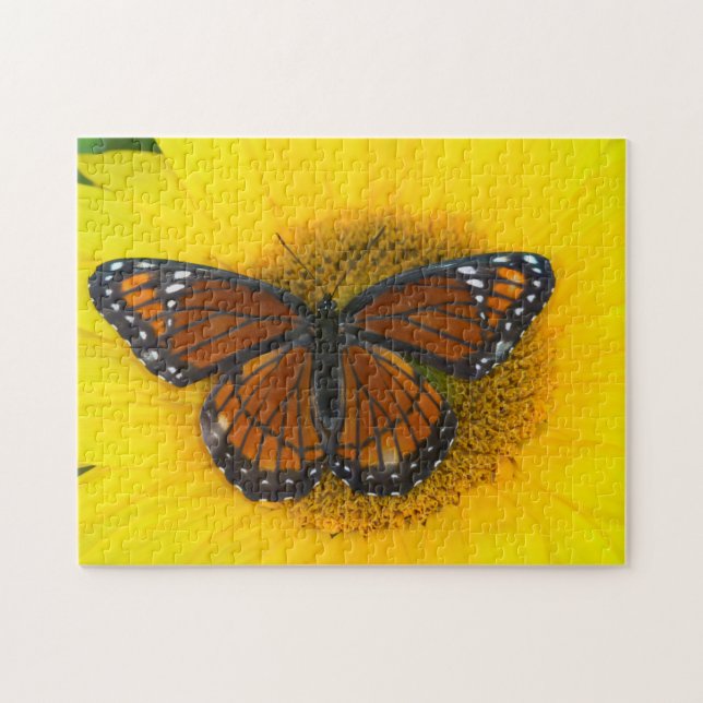A Viceroy Butterfly | Limenitis Archippus Jigsaw Puzzle (Horizontal)