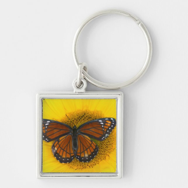 A Viceroy Butterfly | Limenitis Archippus Keychain (Front)