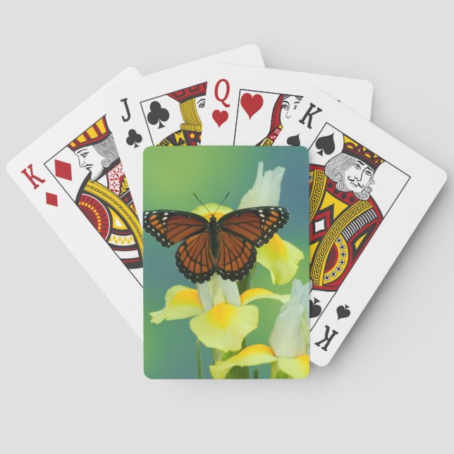 A Viceroy Butterfly on a Yellow Japanese Iris Poker Cards (Back)