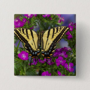 A Viceroy Butterfly on Dark Pink Flowers Button