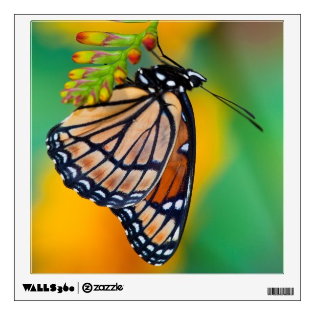 A Viceroy Butterfly on Flowers Wall Decal (Front)