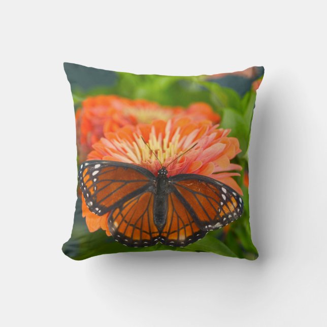 A Viceroy Butterfly on Orange Zinnias Throw Pillow (Front)