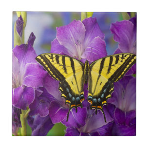 A Viceroy Butterfly on Purple Glads Ceramic Tile